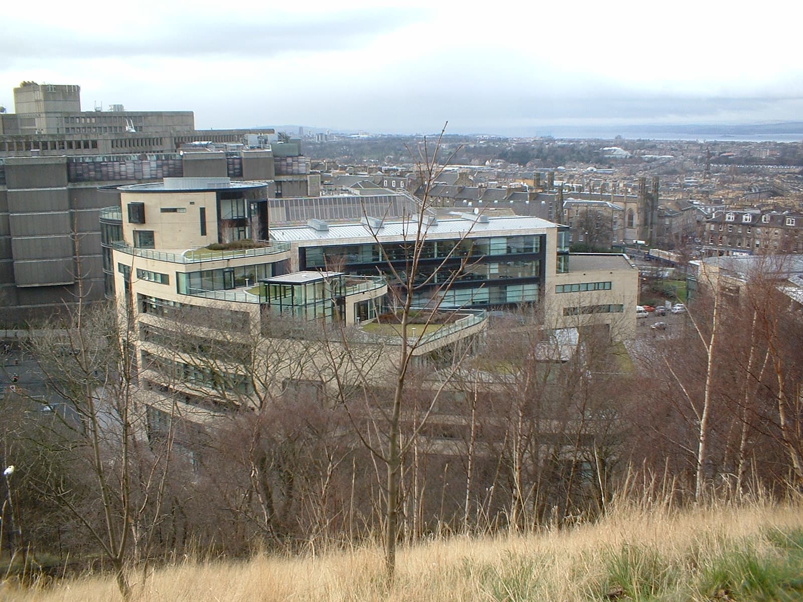 Rockstar Workers Form UK Union After 31 Staff Fired Over Discord Leaks